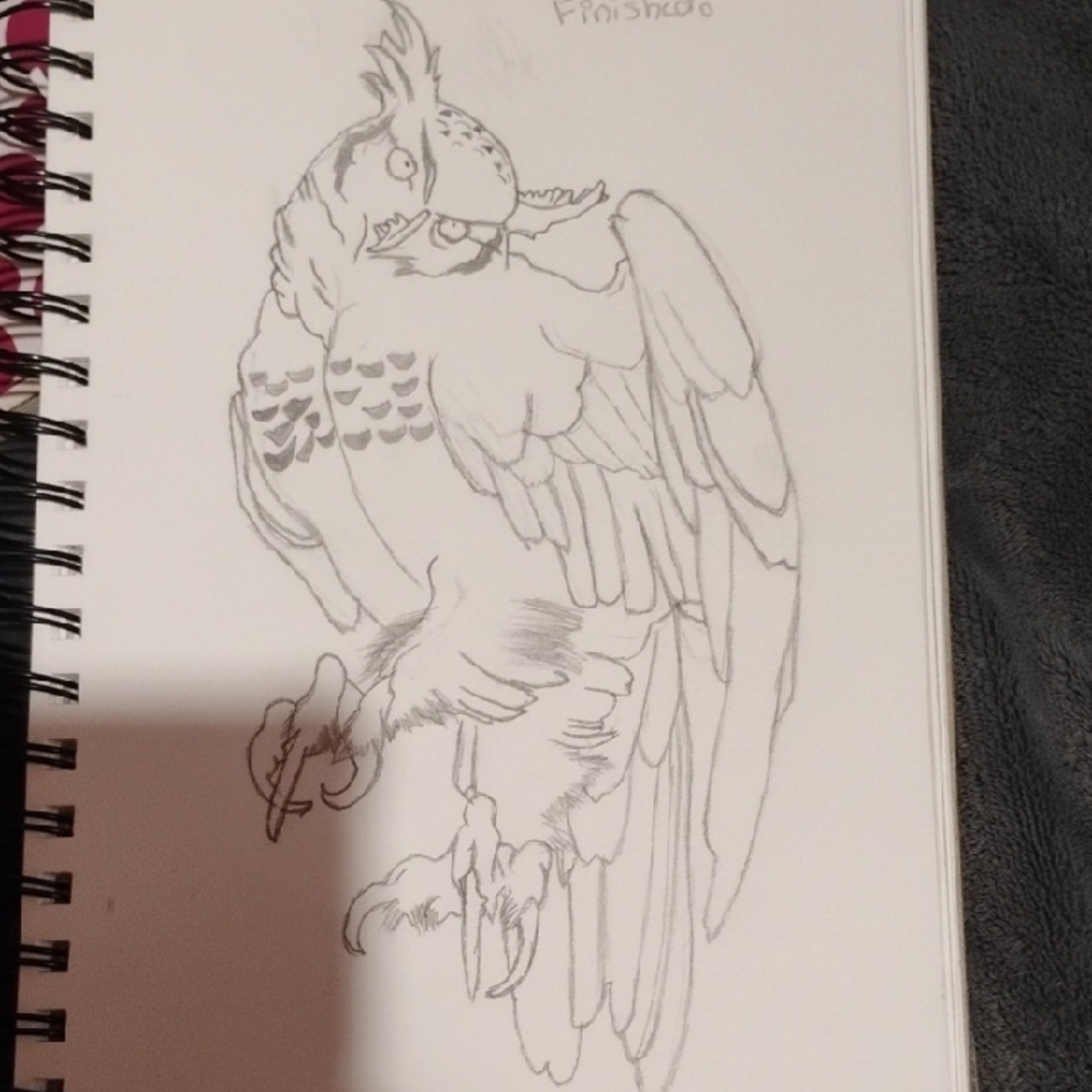Deluxe Bird Sketch Notebook